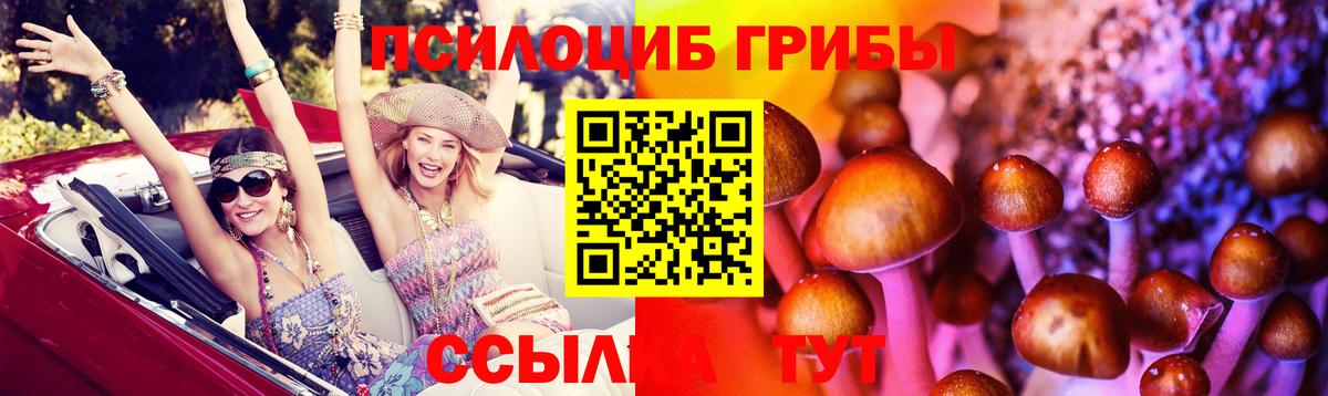 Бузулук  Псилоцибиновые грибы мицелий  Вход с VPN  где найти наркотики  Псилоцибиновые грибы MAGIC MUSHROOMS 